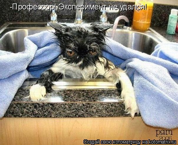Котоматрица: -Профессор! Эксперимент не удался!