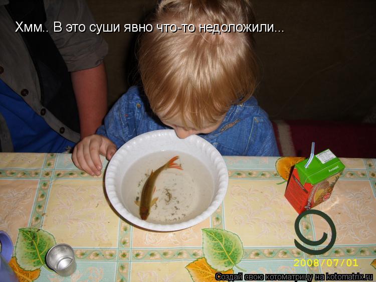 Котоматрица: Хмм.. В это суши явно что-то недоложили...
