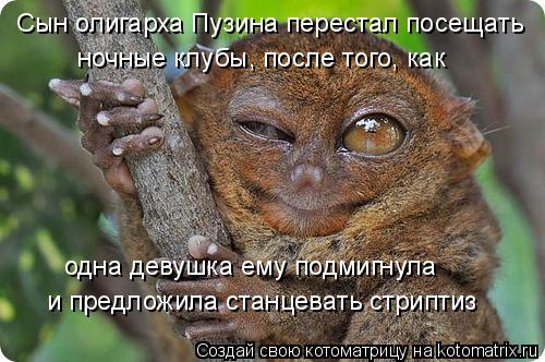 Сын олигарха Пузина перестал посещать ночные клубы, после того, как одна девушка ему подмигнула и пр... Котоматрица: Сын олигарха Пузина перестал посещать ночные клубы, после того, как одна девушка ему подмигнула и предложила станцевать стриптиз