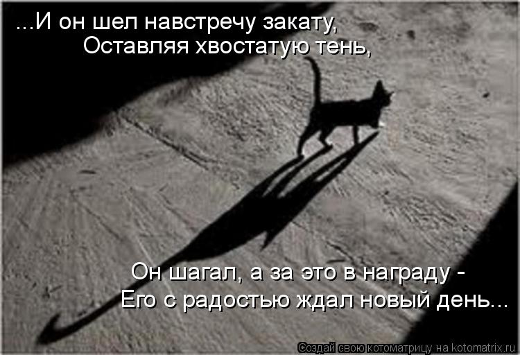 Котоматрица: ...И он шел навстречу закату, Оставляя хвостатую тень, Он шагал, а за это в награду -  Его с радостью ждал новый день...