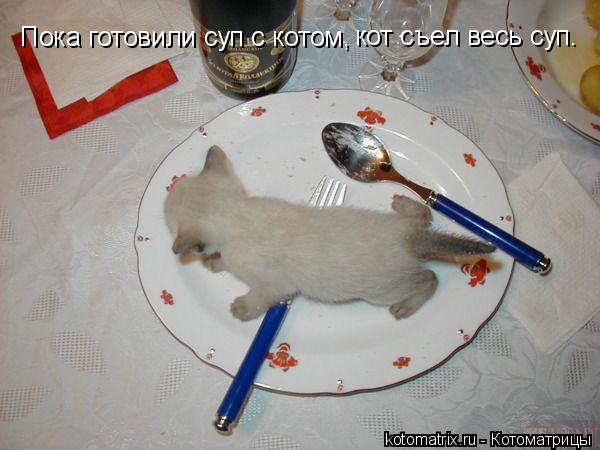 Пока готовили суп с котом, кот съел весь суп.... Котоматрица: Пока готовили суп с котом, кот съел весь суп.