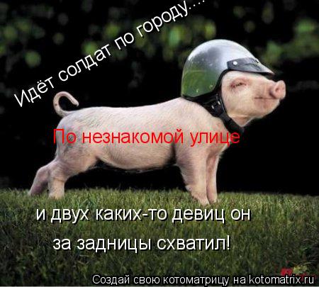 Идёт солдат по городу.... По незнакомой улице и двух каких-то девиц он за задницы схватил!... Котоматрица: Идёт солдат по городу.... По незнакомой улице и двух каких-то девиц он за задницы схватил!