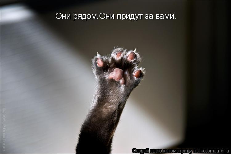 Они рядом.Они придут за вами.... Котоматрица: Они рядом.Они придут за вами.