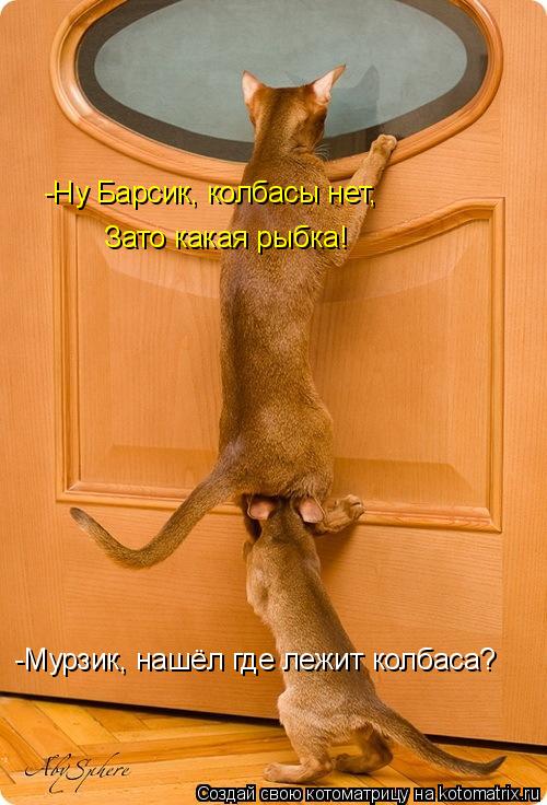 -Мурзик, нашёл где лежит колбаса? -Ну Барсик, колбасы нет, Зато какая рыбка!... Котоматрица: -Мурзик, нашёл где лежит колбаса? -Ну Барсик, колбасы нет, Зато какая рыбка!