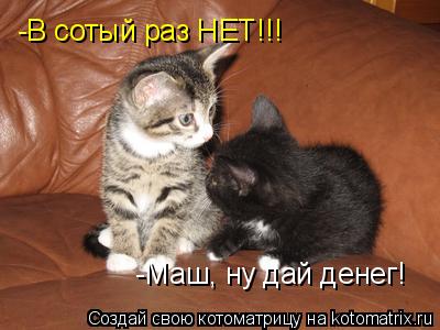-Маш, ну дай денег! -В сотый раз НЕТ!!!... Котоматрица: -Маш, ну дай денег! -В сотый раз НЕТ!!!
