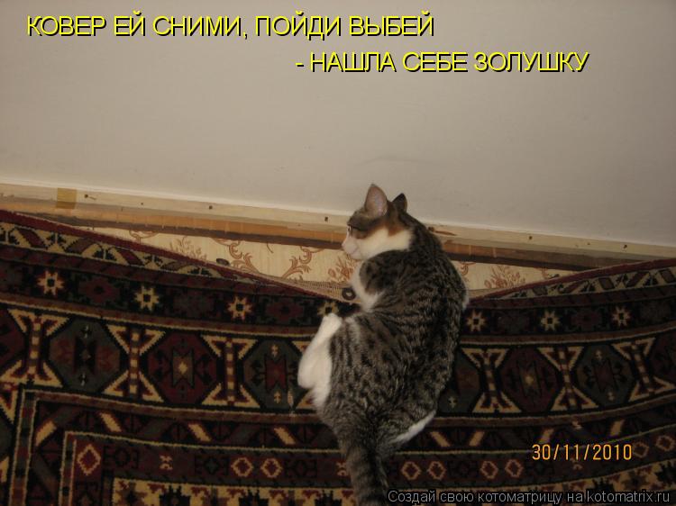 КОВЕР ЕЙ СНИМИ, ПОЙДИ ВЫБЕЙ - НАШЛА СЕБЕ ЗОЛУШКУ... Котоматрица: КОВЕР ЕЙ СНИМИ, ПОЙДИ ВЫБЕЙ - НАШЛА СЕБЕ ЗОЛУШКУ