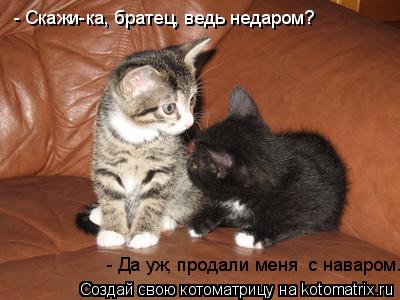 - Скажи-ка, братец, ведь недаром? - Да уж, продали меня с наваром.... Котоматрица: - Скажи-ка, братец, ведь недаром? - Да уж, продали меня с наваром.