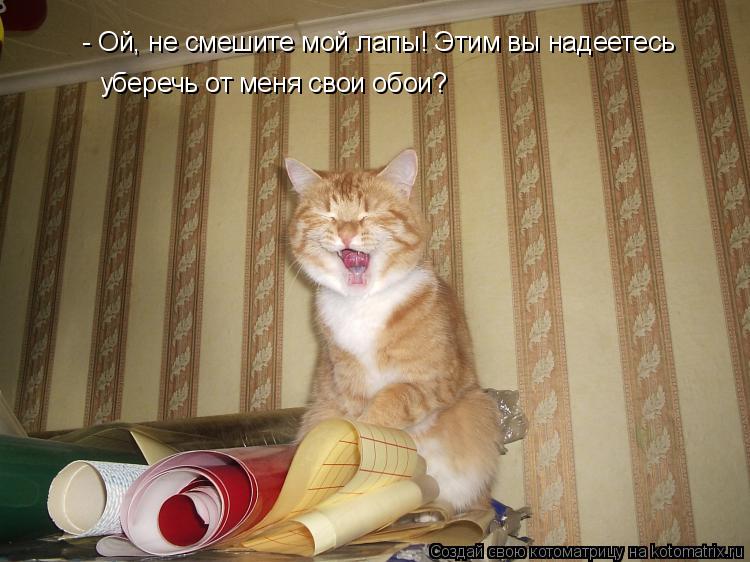 - Ой, не смешите мой лапы! Этим вы надеетесь уберечь от меня свои обои?... Котоматрица: - Ой, не смешите мой лапы! Этим вы надеетесь уберечь от меня свои обои?
