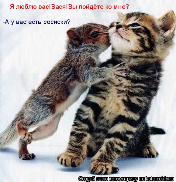 Котоматрица: -Я люблю вас!Вася!Вы пойдёте ко мне? -А у вас есть сосиски?