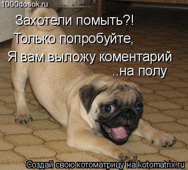 Котоматрица: Захотели помыть?! Только попробуйте, Я вам выложу коментарий ..на полу