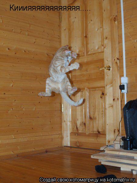 Котоматрица: Кииияяяяяяяяяяяя.....