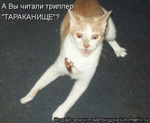 Котоматрица: А Вы читали триллер "ТАРАКАНИЩЕ"?