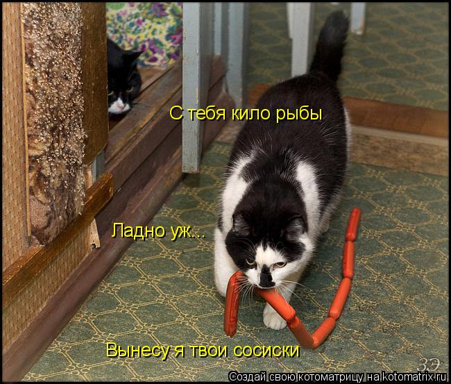 Котоматрица: Ладно уж... Вынесу я твои сосиски  С тебя кило рыбы