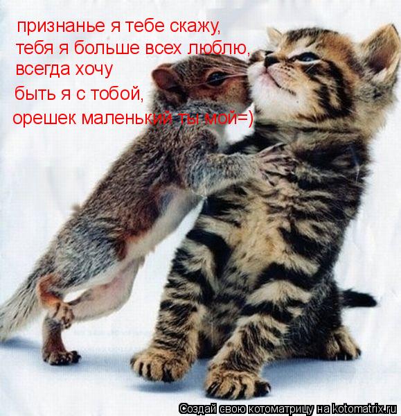 признанье я тебе скажу, тебя я больше всех люблю, всегда хочу быть я с тобой, орешек маленький ты мой... Котоматрица: признанье я тебе скажу, тебя я больше всех люблю, всегда хочу быть я с тобой, орешек маленький ты мой=)