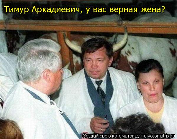 Котоматрица: Тимур Аркадиевич, у вас верная жена?