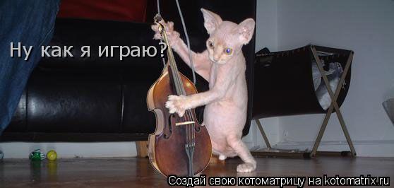 Ну как я играю?... Котоматрица: Ну как я играю?