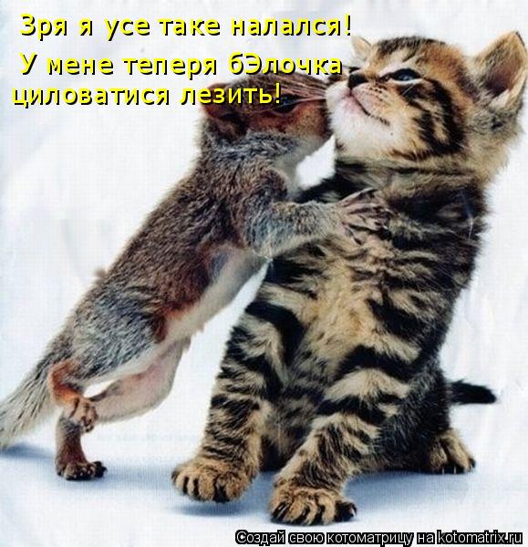 Котоматрица: Зря я усе таке налался! У мене теперя бЭлочка циловатися лезить!