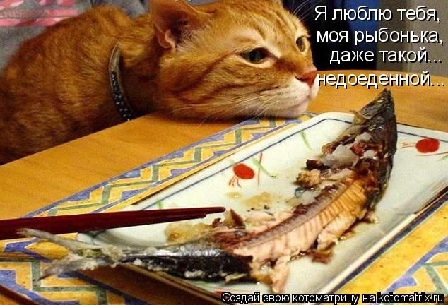 Я люблю тебя, моя рыбонька, даже такой... недоеденной...... Котоматрица: Я люблю тебя, моя рыбонька, даже такой... недоеденной...