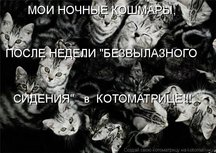 Котоматрица: МОИ НОЧНЫЕ КОШМАРЫ, ПОСЛЕ НЕДЕЛИ "БЕЗВЫЛАЗНОГО СИДЕНИЯ"   в  КОТОМАТРИЦЕ!!!