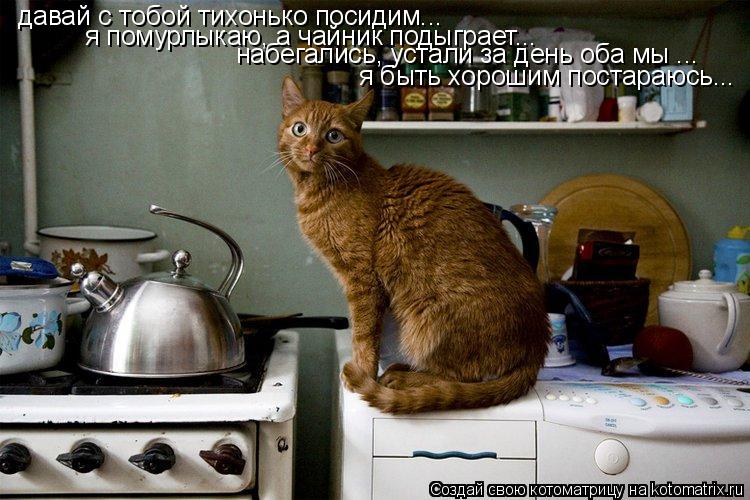 Котоматрица: давай с тобой тихонько посидим... я помурлыкаю, а чайник подыграет... я быть хорошим постараюсь... набегались, устали за день оба мы ...