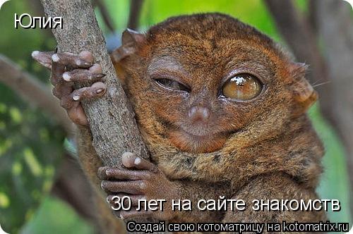 Котоматрица: Юлия 30 лет на сайте знакомств