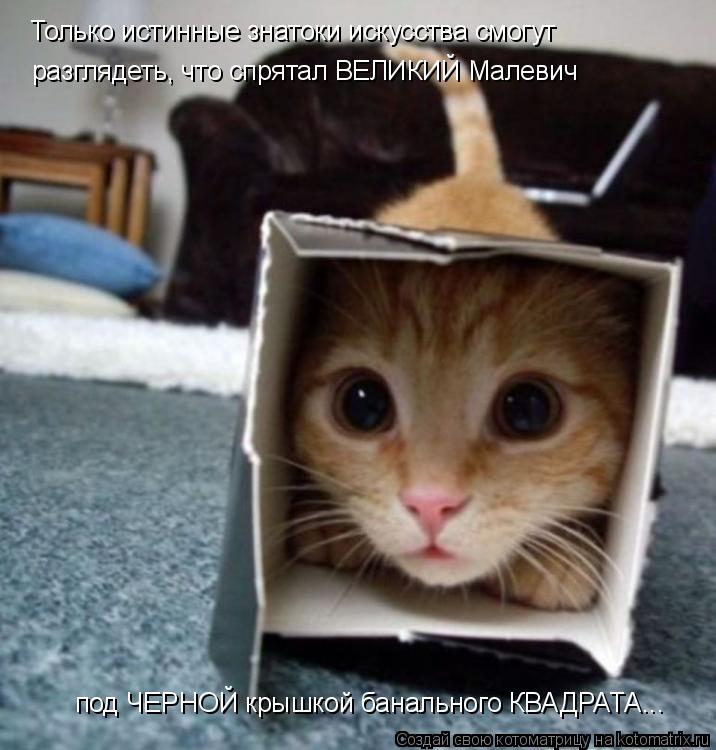Котоматрица: Только истинные знатоки искусства смогут  под ЧЕРНОЙ крышкой банального КВАДРАТА... разглядеть, что спрятал ВЕЛИКИЙ Малевич