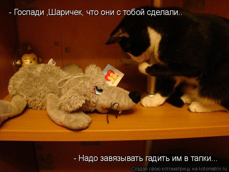 Котоматрица: - Госпади ,Шаричек, что они с тобой сделали..  - Надо завязывать гадить им в тапки...