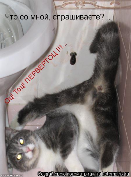 Котоматрица: Что со мной, спрашиваете?... Оц! Тоц! ПЕРВЕРТОЦ !!!...