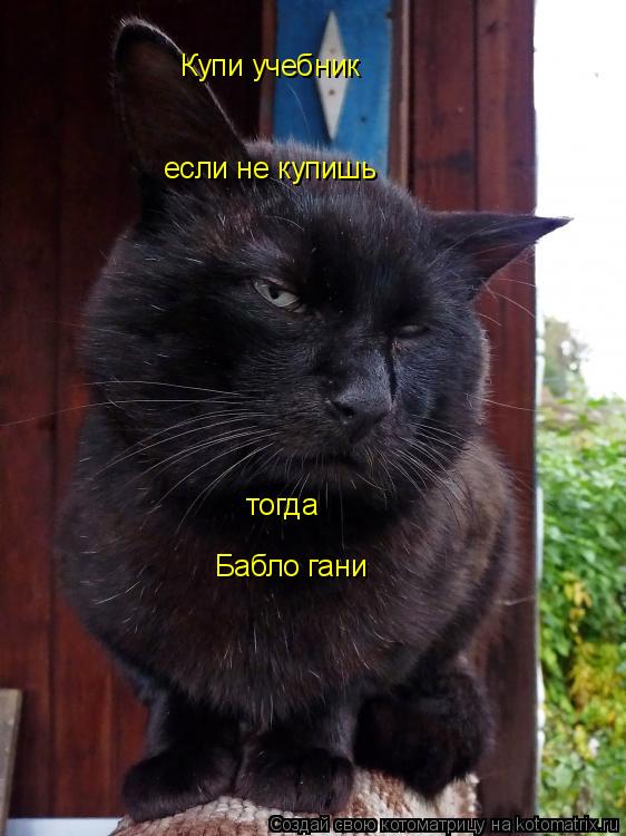 Котоматрица: Бабло гани Купи учебник если не купишь тогда