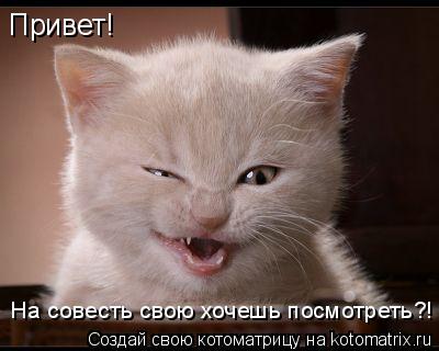 Котоматрица: Привет! На совесть свою хочешь посмотреть?!