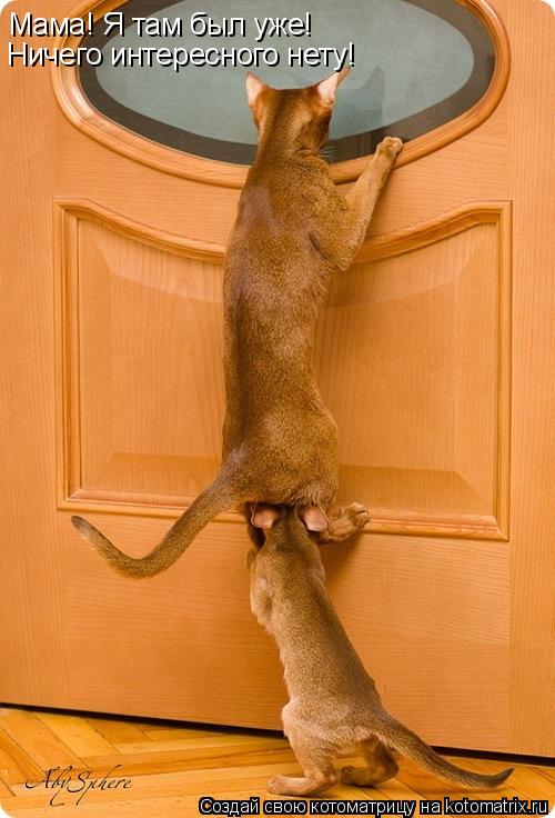 Котоматрица: Мама! Я там был уже! Ничего интересного нету!