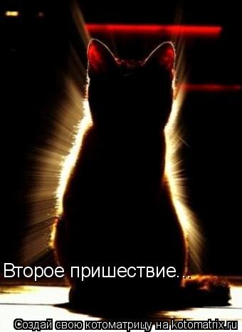 Котоматрица: Второе пришествие...