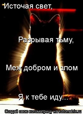 Котоматрица: Источая свет, Разрывая тьму, Меж добром и злом Я к тебе иду...
