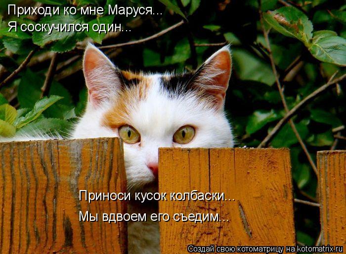 Котоматрица: Приходи ко мне Маруся... Я соскучился один... Приноси кусок колбаски... Мы вдвоем его съедим...