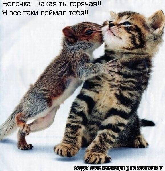 Котоматрица: Белочка...какая ты горячая!!! Я все таки поймал тебя!!!