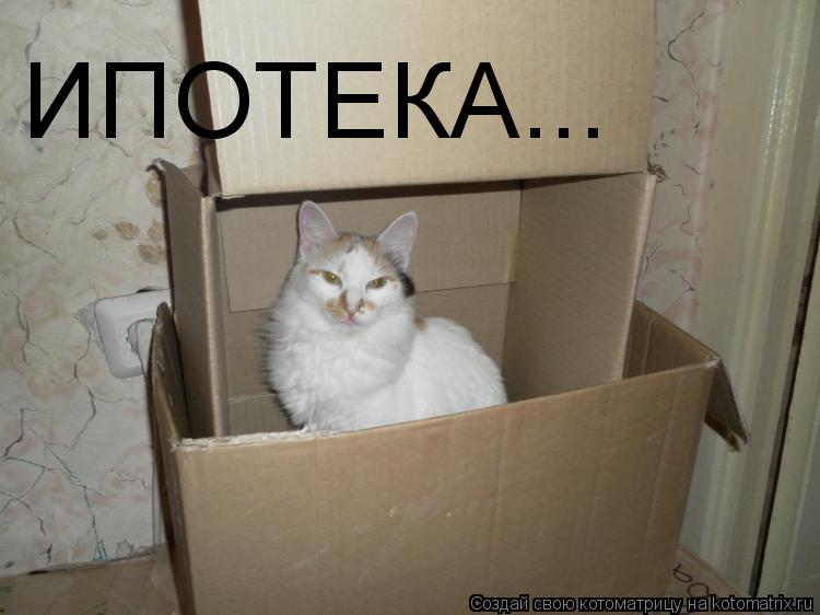 Котоматрица: ИПОТЕКА...