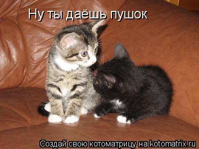 Котоматрица: Ну ты даёшь пушок