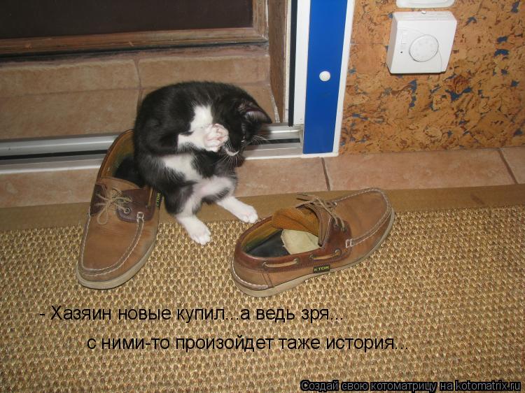 Котоматрица: - Хазяин новые купил...а ведь зря... с ними-то произойдет таже история...