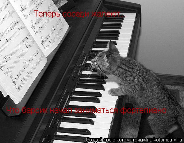 Теперь соседи жалеют... Что барсик начал заниматься фортепиано... Котоматрица: Теперь соседи жалеют... Что барсик начал заниматься фортепиано