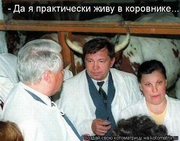 - Да я практически живу в коровнике...... Котоматрица: - Да я практически живу в коровнике...