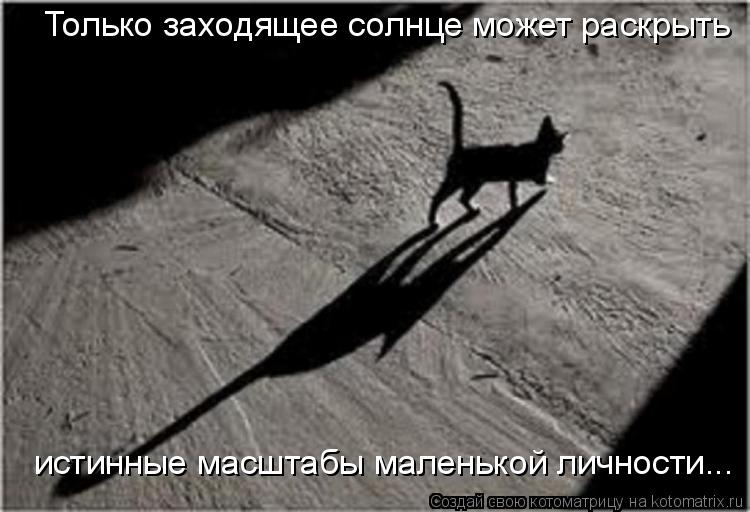 Только заходящее солнце может раскрыть истинные масштабы маленькой личности...... Котоматрица: Только заходящее солнце может раскрыть истинные масштабы маленькой личности...