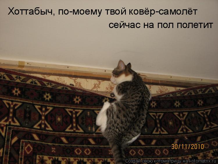 Хоттабыч, по-моему твой ковёр-самолёт сейчас на пол полетит... Котоматрица: Хоттабыч, по-моему твой ковёр-самолёт сейчас на пол полетит
