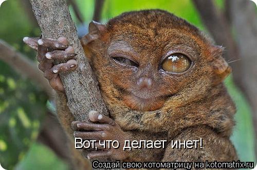 Вот,что делает инет!... Котоматрица: Вот,что делает инет!