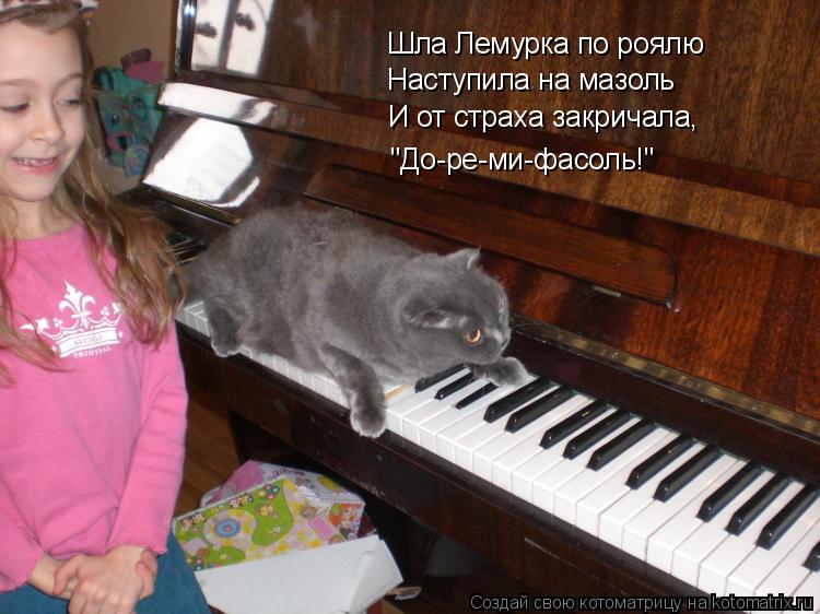 Шла Лемурка по роялю Наступила на мазоль И от страха закричала, "До-ре-ми-фасоль!"... Котоматрица: Шла Лемурка по роялю Наступила на мазоль И от страха закричала, "До-ре-ми-фасоль!"