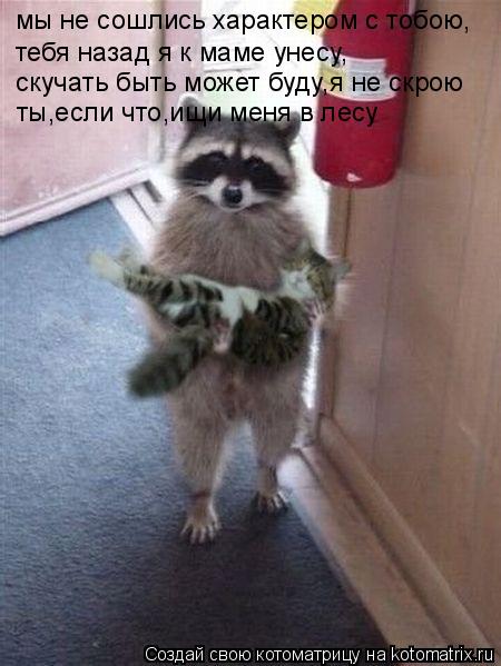 мы не сошлись характером с тобою, тебя назад я к маме унесу, скучать быть может буду,я не скрою ты,ес... Котоматрица: мы не сошлись характером с тобою, тебя назад я к маме унесу, скучать быть может буду,я не скрою ты,если что,ищи меня в лесу