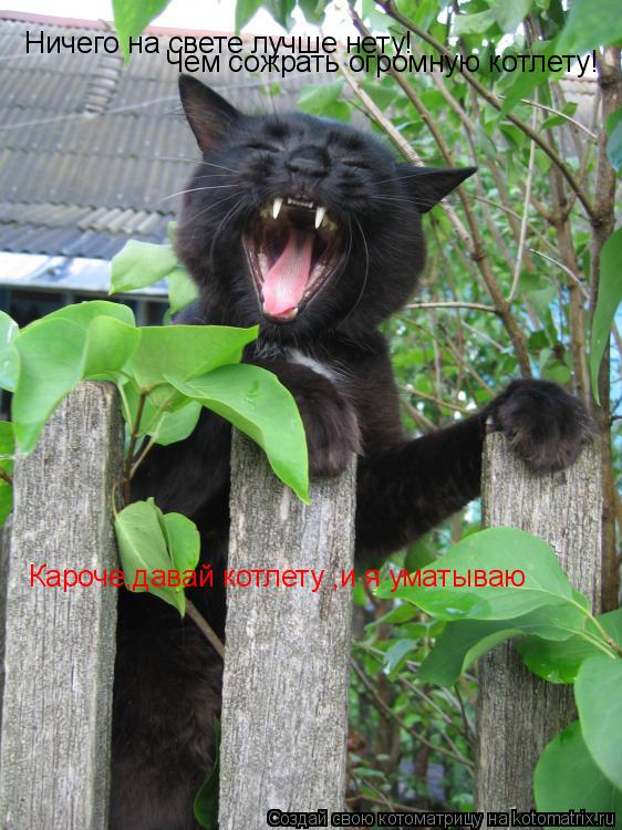 Ничего на свете лучше нету! Чем сожрать огромную котлету! Кароче,давай котлету ,и я уматываю... Котоматрица: Ничего на свете лучше нету! Чем сожрать огромную котлету! Кароче,давай котлету ,и я уматываю