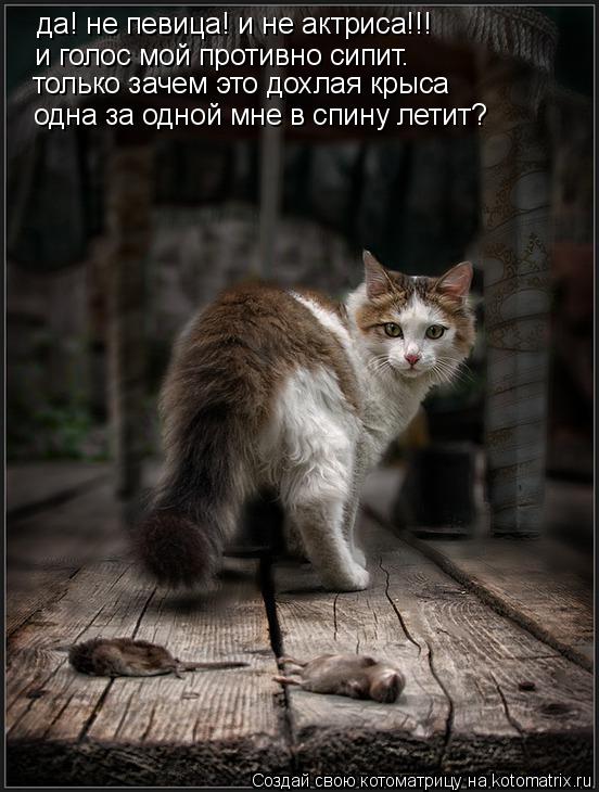 да! не певица! и не актриса!!! и голос мой противно сипит. только зачем это дохлая крыса одна за одн... Котоматрица: да! не певица! и не актриса!!! и голос мой противно сипит. только зачем это дохлая крыса одна за одной мне в спину летит?