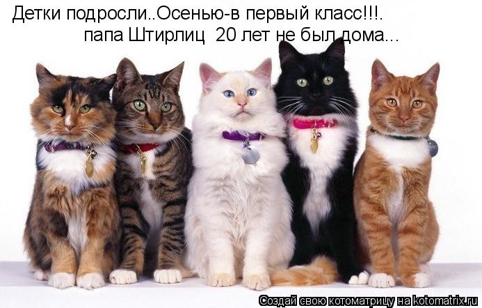 Детки подросли. .Осенью-в первый класс!!!. папа Штирлиц 20 лет не был дома...... Котоматрица: Детки подросли. .Осенью-в первый класс!!!. папа Штирлиц 20 лет не был дома...