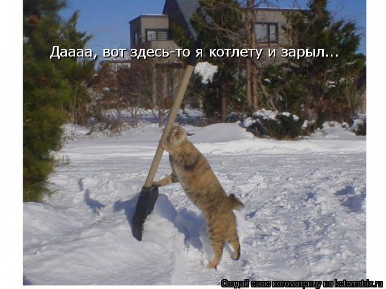 Даааа, вот здесь-то я котлету и зарыл...... Котоматрица: Даааа, вот здесь-то я котлету и зарыл...