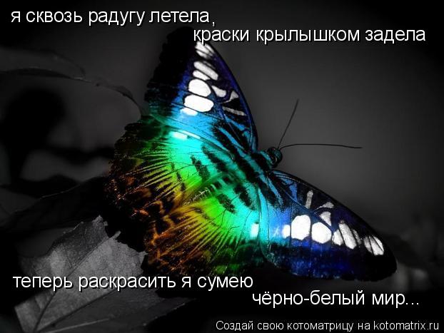 я сквозь радугу летела , краски крылышком задела теперь раскрасить я сумею чёрно-белый мир...... Котоматрица: я сквозь радугу летела , краски крылышком задела теперь раскрасить я сумею чёрно-белый мир...